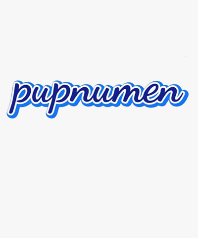 Pupnumen